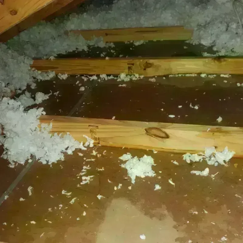 Attic Water Damage in Pleasant Hill, OH