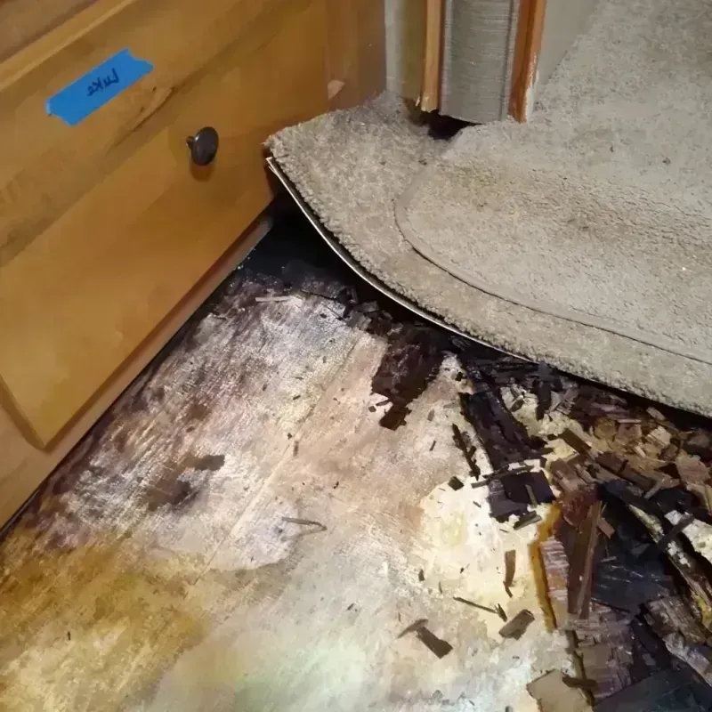 Best Wood Floor Water Damage Service in Pleasant Hill, OH